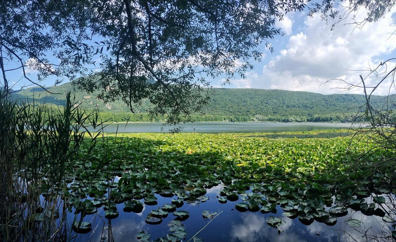 Villa Enrico Monticchio  Bagian luar foto